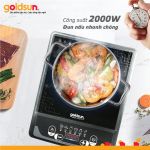 Bếp điện từ đơn Goldsun GIC3211-M