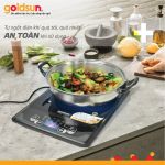 Bếp điện từ đơn Goldsun GIC3211-M