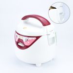 Nồi cơm điện 3D Goldsun 1,0lit ARC-GW100