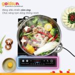 Bếp điện từ Goldsun GIC3212-D